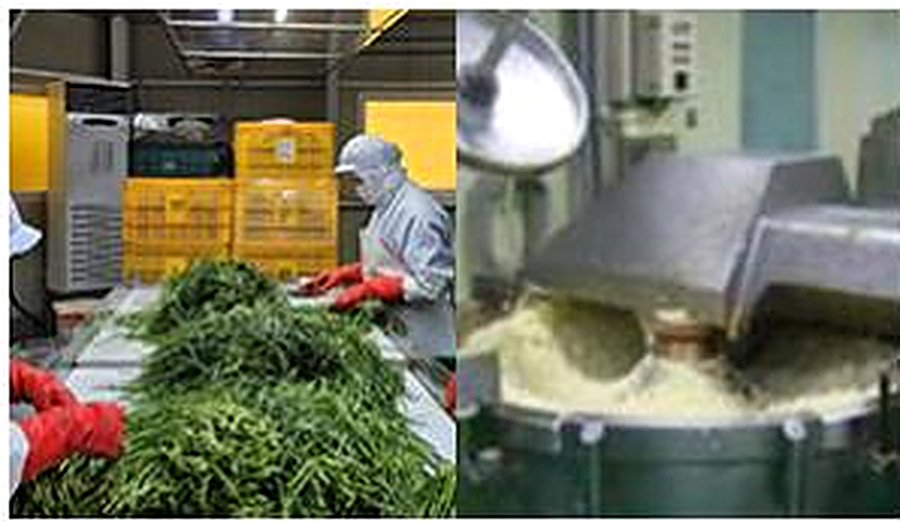 Vegetable prep & mixing