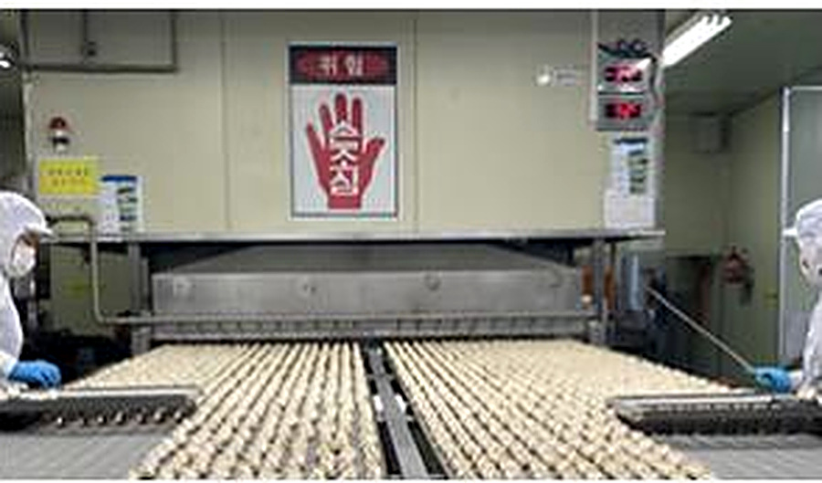 miri dumpling molding & conveyor line