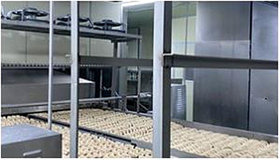 Boiling / cooling line